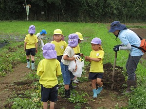 IMG_0322(1) IMG_0322(1)