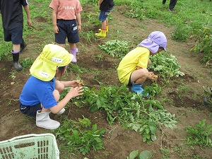 IMG_0324(1) IMG_0324(1)