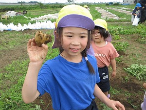 IMG_0325(1) IMG_0325(1)