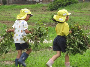 IMG_0327(1) IMG_0327(1)