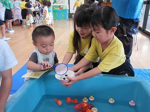 IMG_0518 IMG_0518