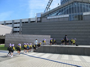 IMG_0416 IMG_0416