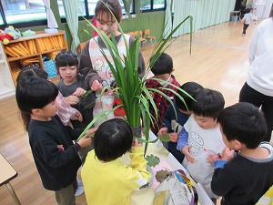 IMG_0144
