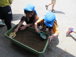 IMG_0158(1)