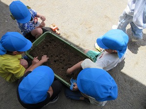 IMG_0159(1)