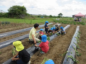 IMG_0371