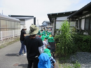 IMG_0648