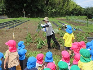 IMG_0651 IMG_0651