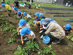 IMG_0655