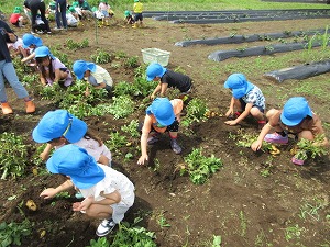 IMG_0657 IMG_0657
