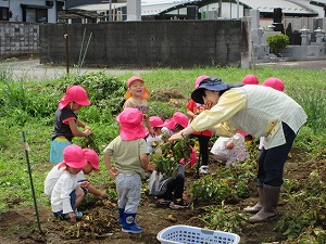 IMG_0659 IMG_0659