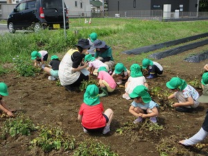 IMG_0661 IMG_0661