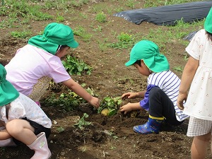 IMG_0666 IMG_0666