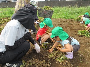 IMG_0671 IMG_0671