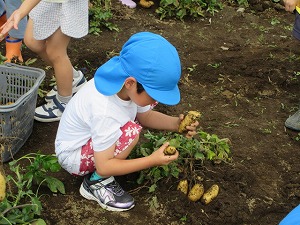 IMG_0673