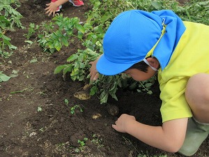 IMG_0675 IMG_0675