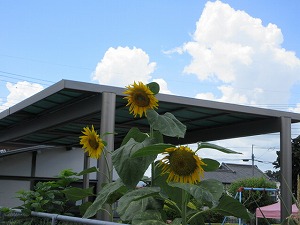 IMG_1064