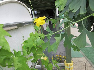 IMG_1059 IMG_1059