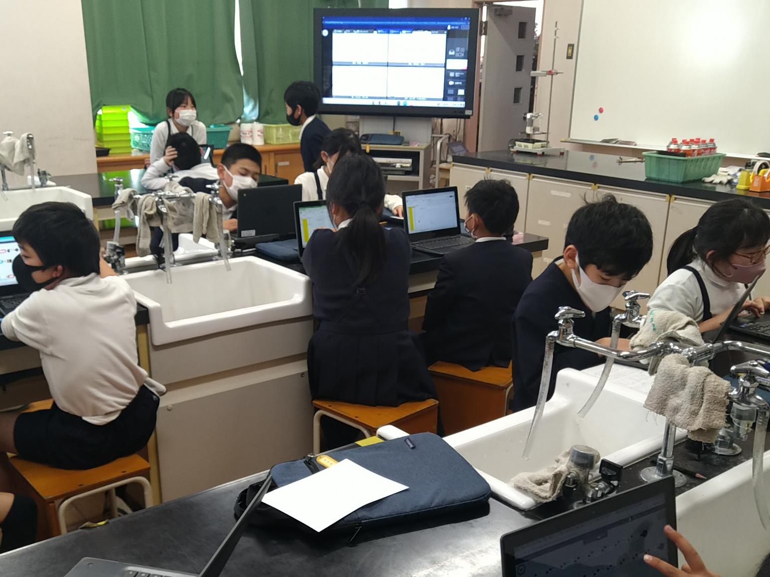 実験の様子