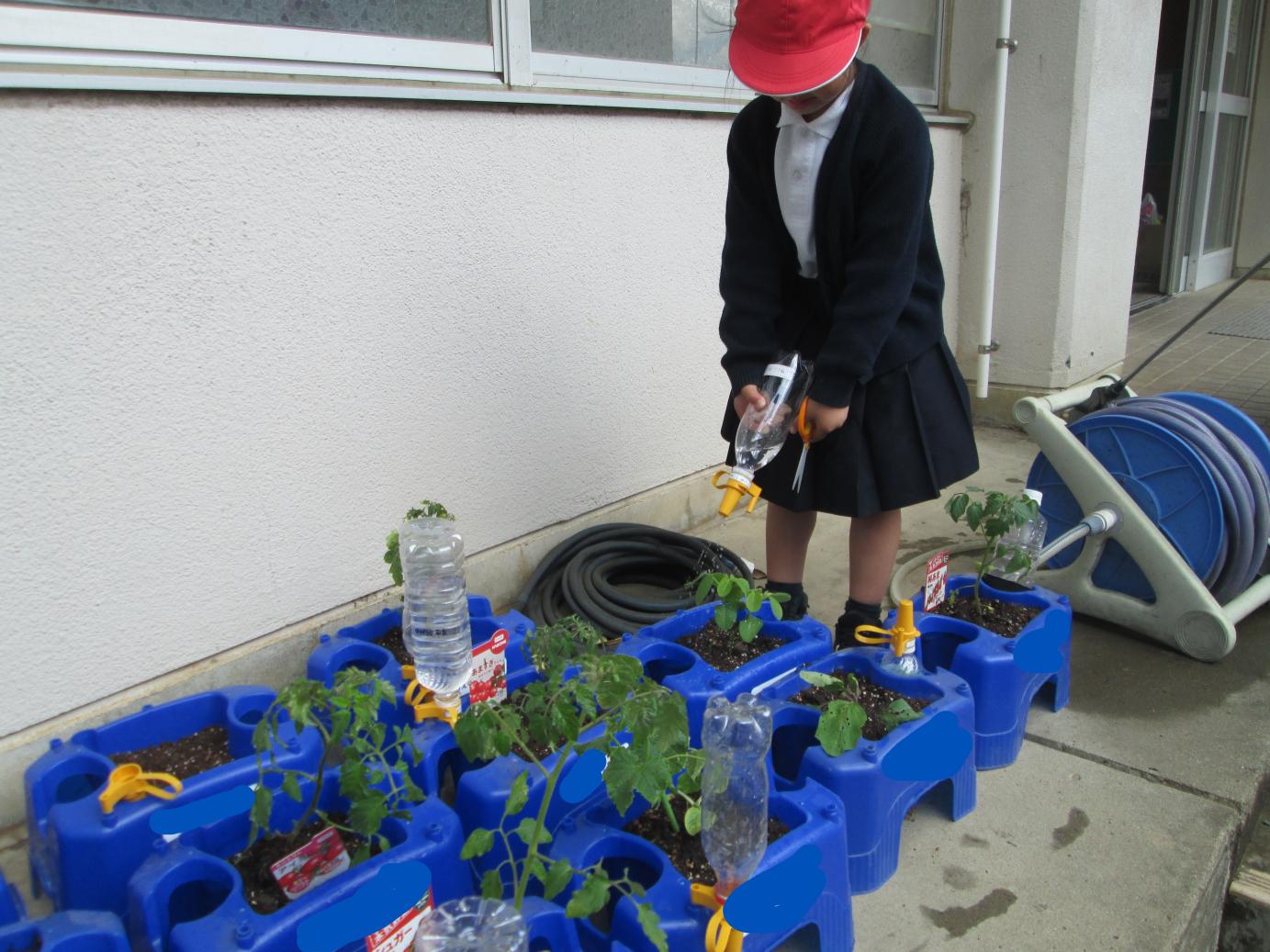IMG_0027 IMG_0027