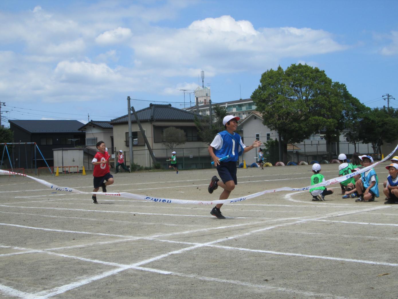 IMG_0351 IMG_0351