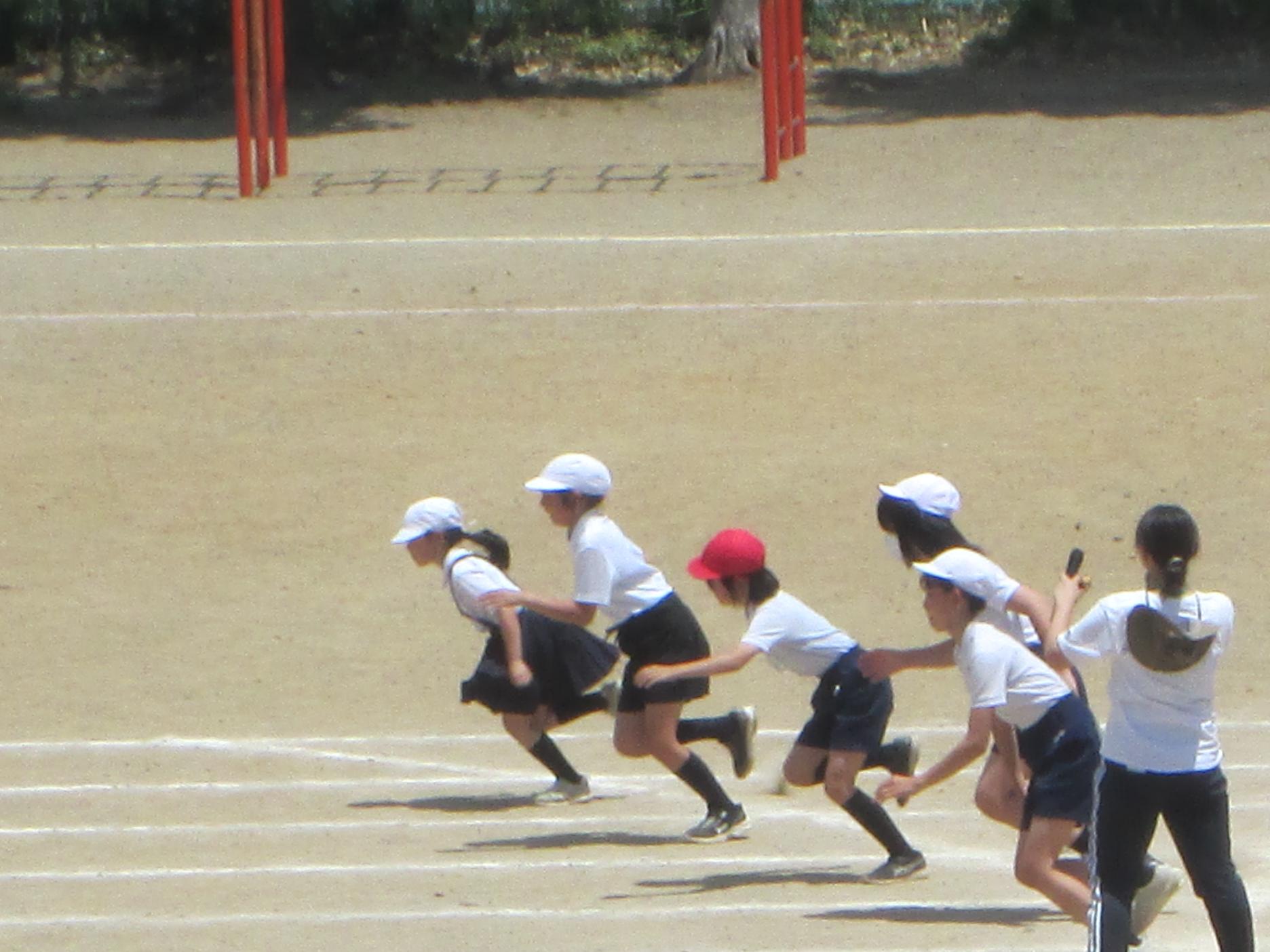 IMG_0009 IMG_0009