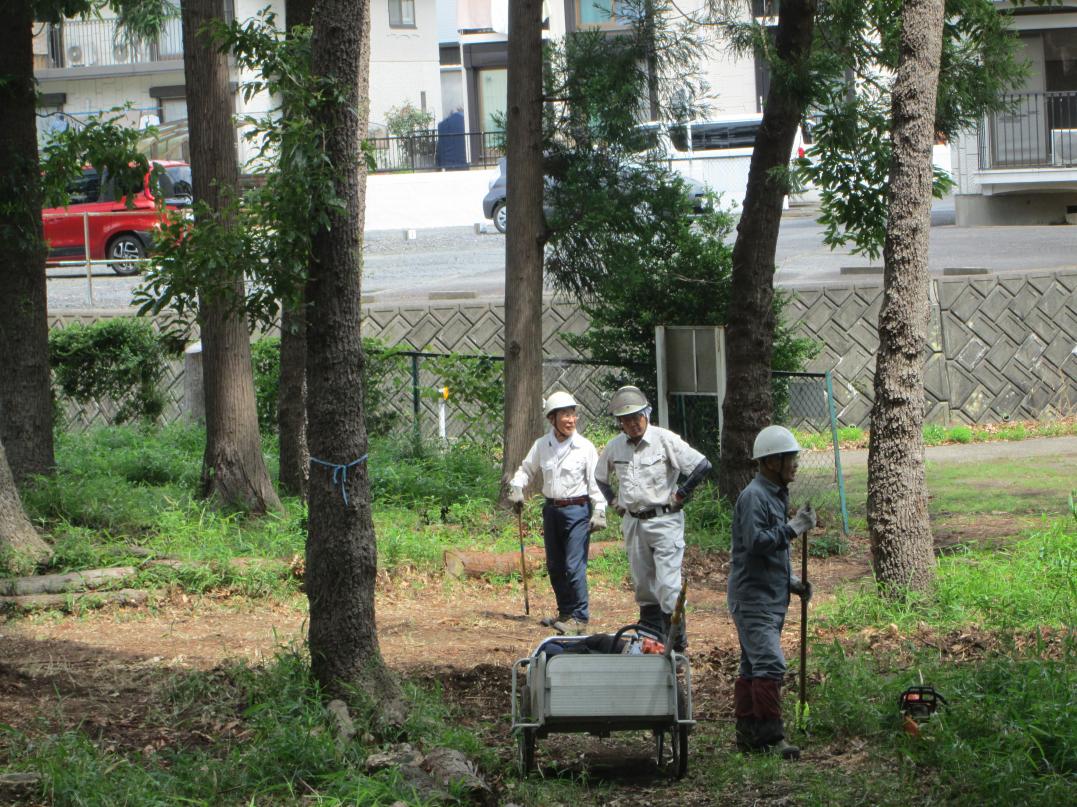 IMG_0280 IMG_0280