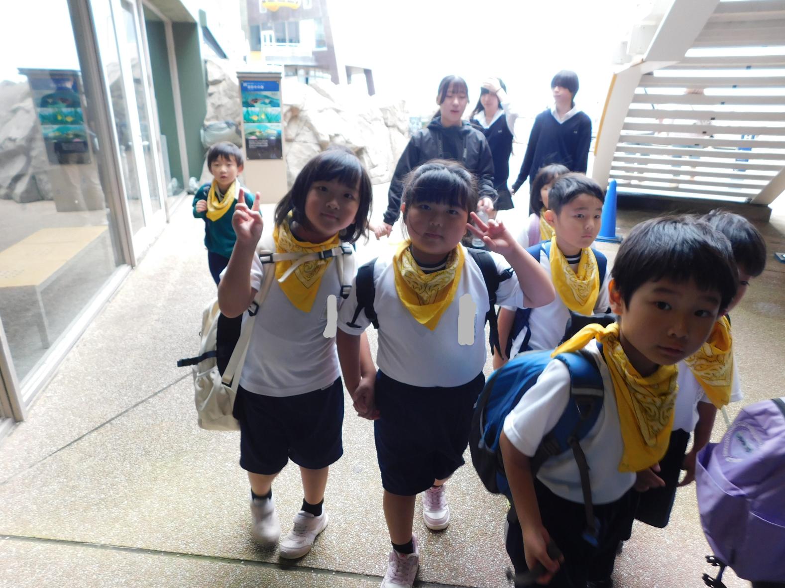 DSCN0117 DSCN0117