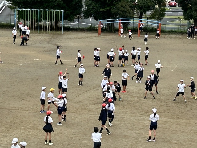 IMG_0012 IMG_0012