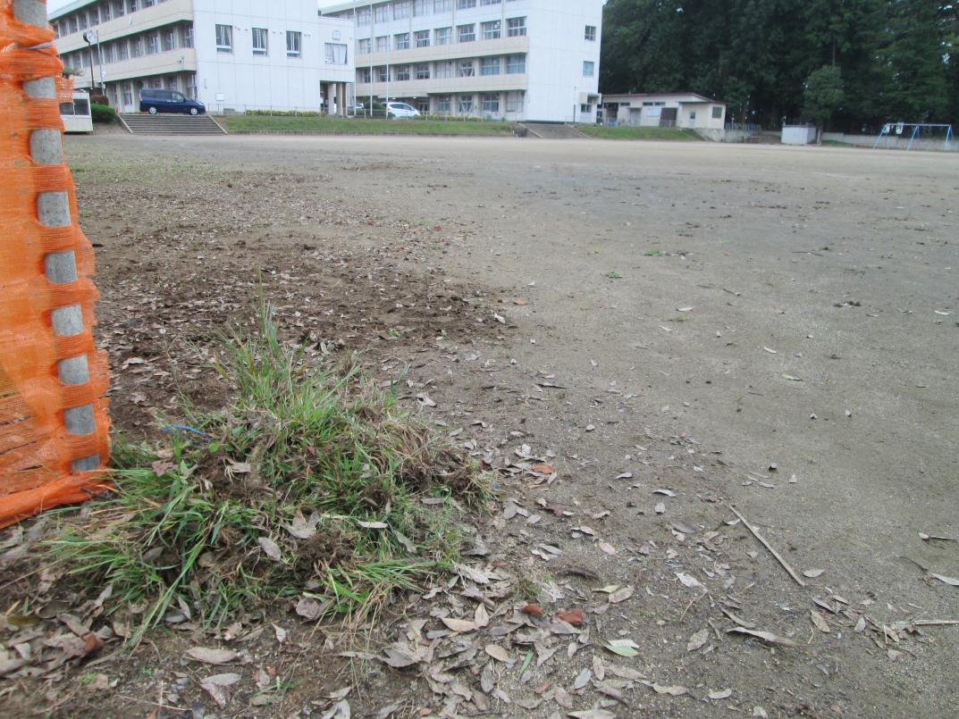 IMG_0045 IMG_0045