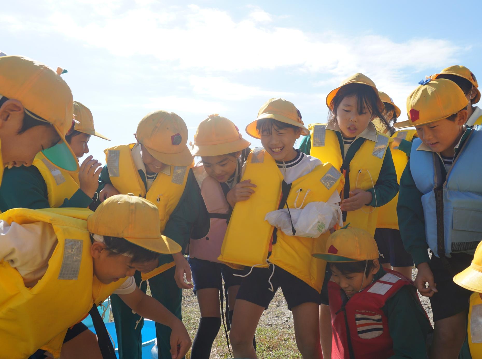 DSC04236 DSC04236