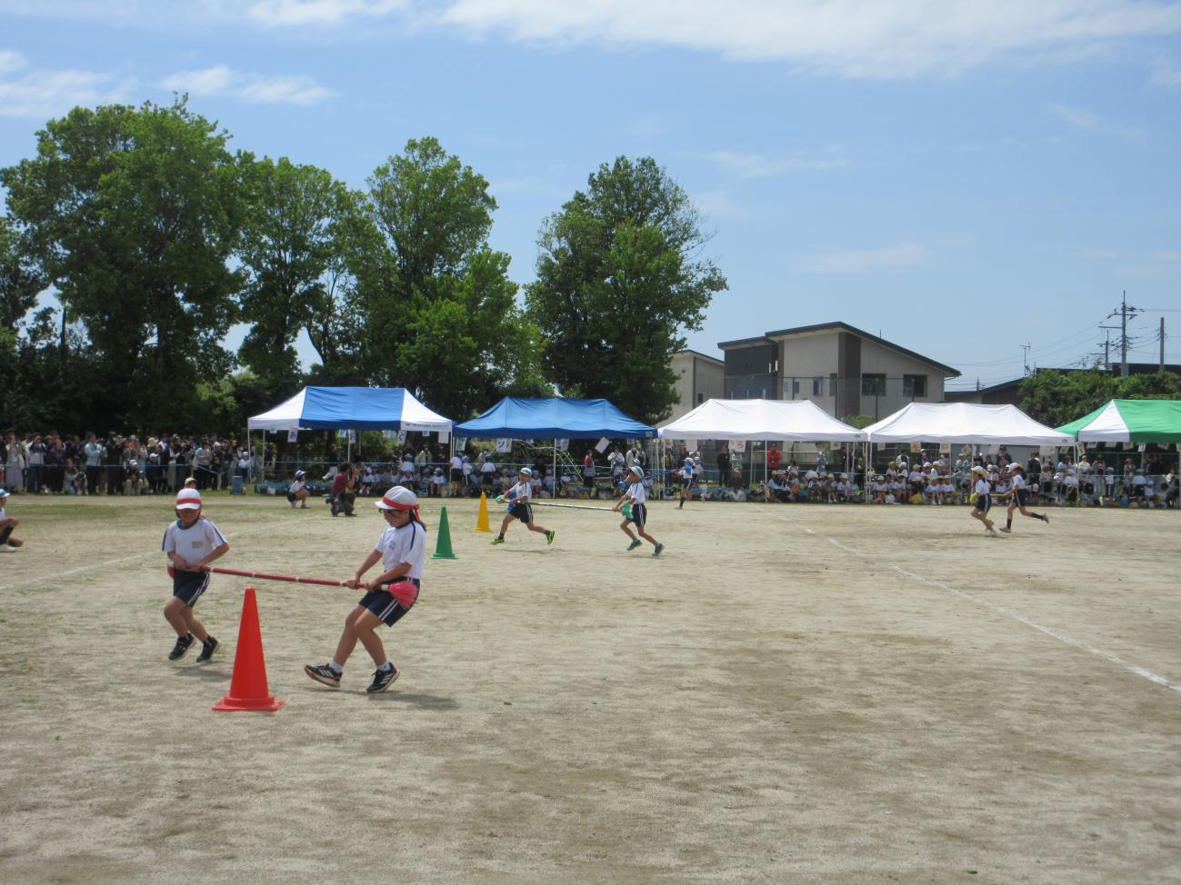 IMG_3747 IMG_3747