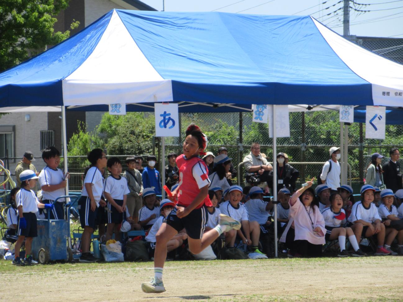 IMG_3804 IMG_3804