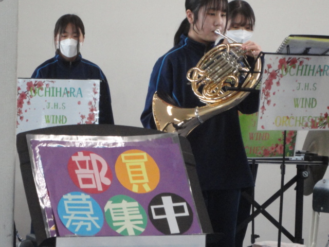DSC00229 DSC00229
