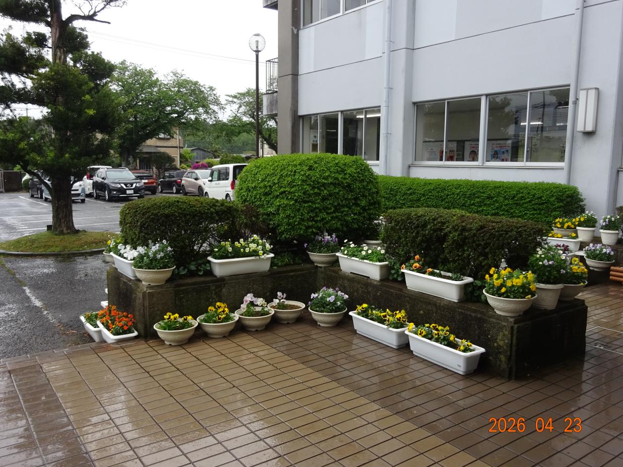 DSC01042