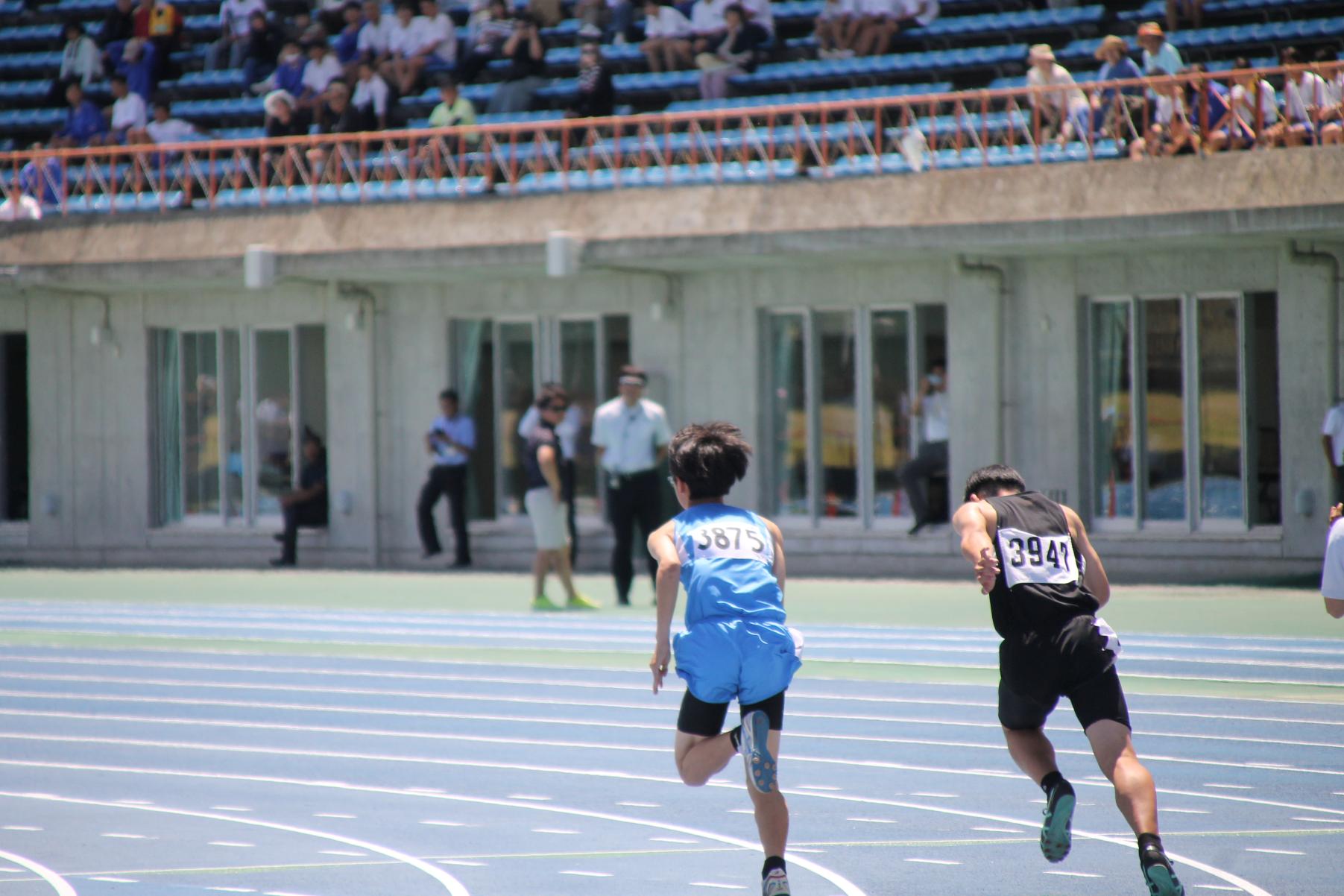 IMG_0353 IMG_0353