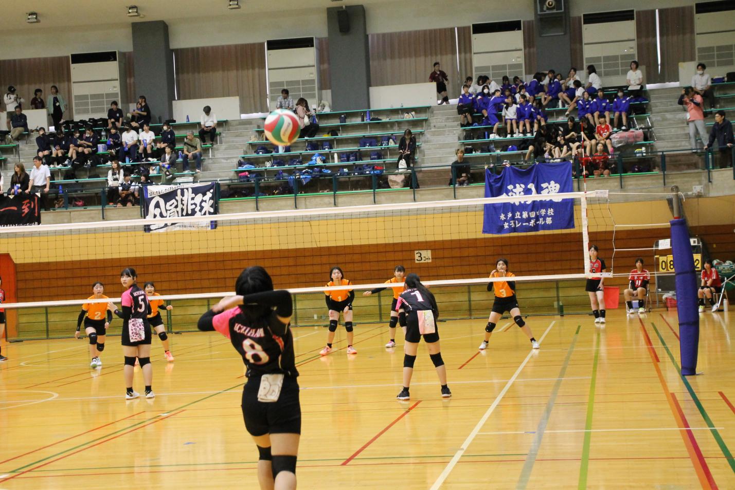 IMG_0519 IMG_0519