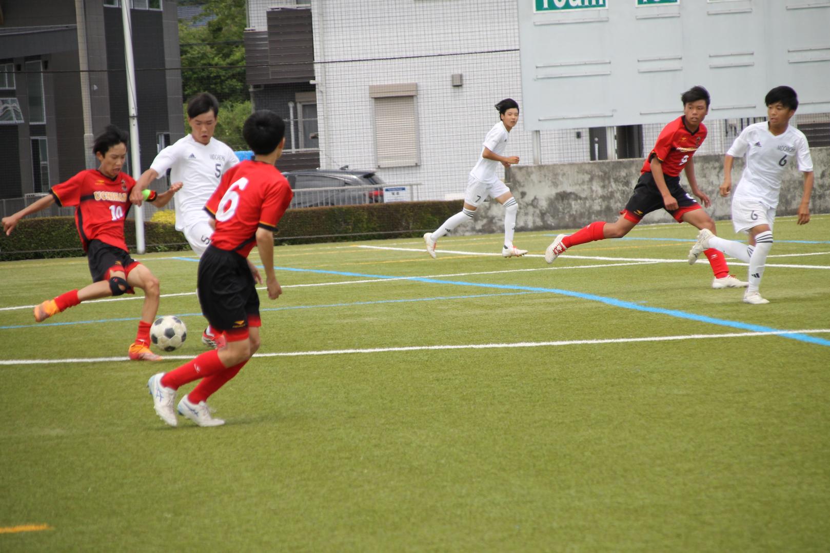 IMG_0494 IMG_0494
