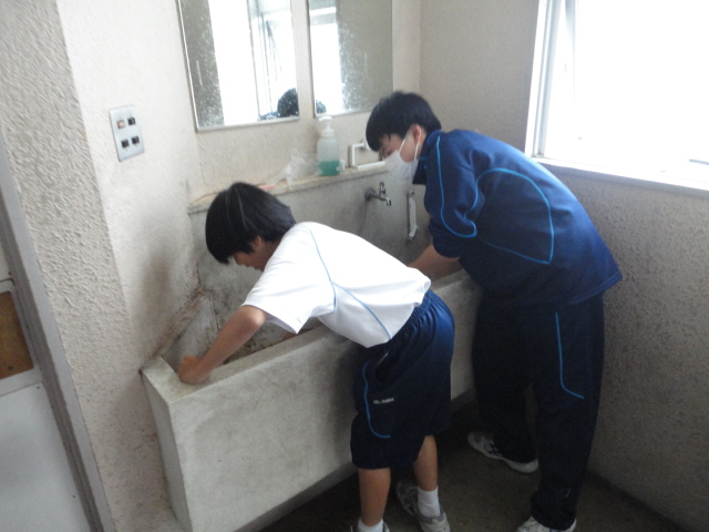 DSC00248 DSC00248