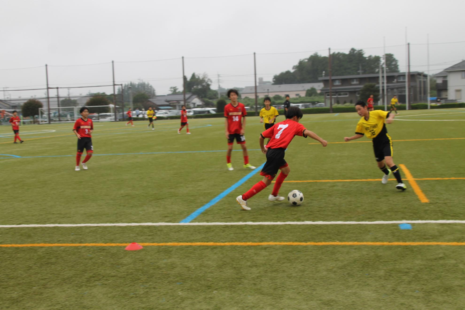 IMG_0851 IMG_0851
