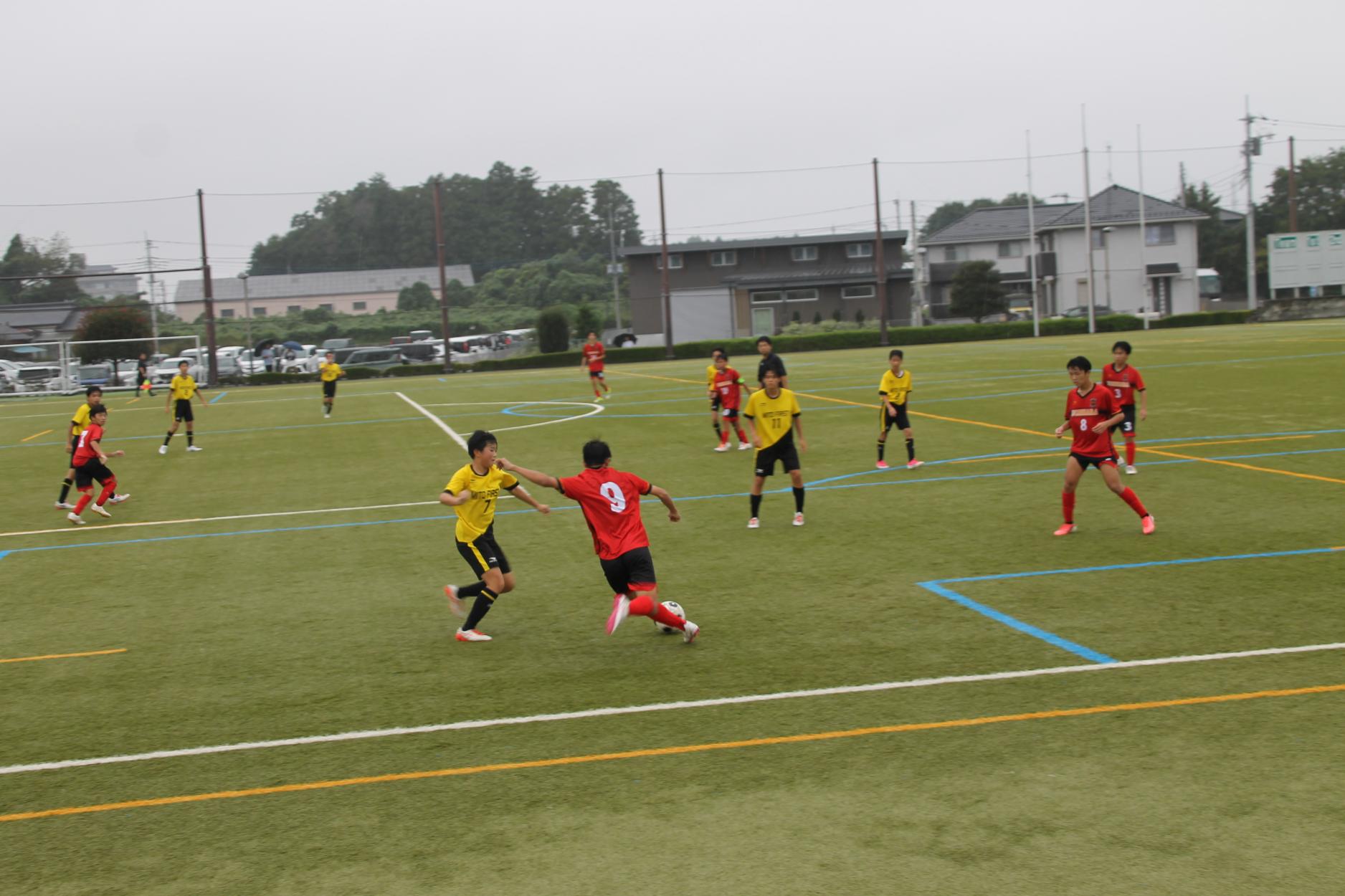 IMG_0855 IMG_0855