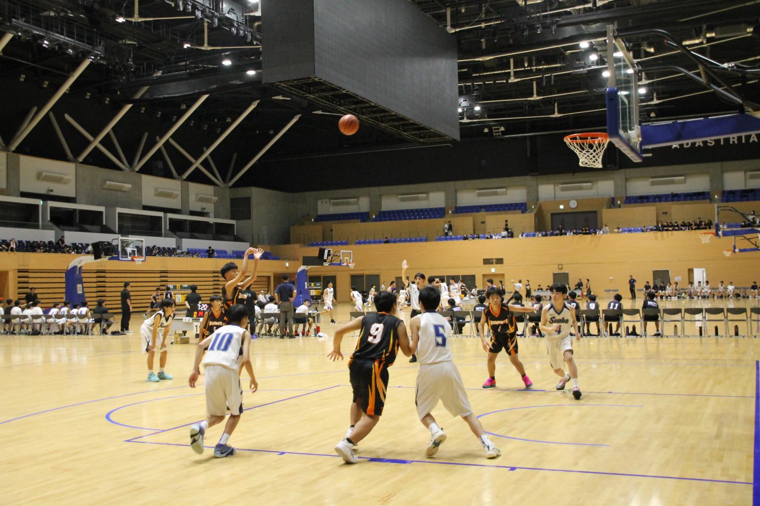 IMG_0866 IMG_0866