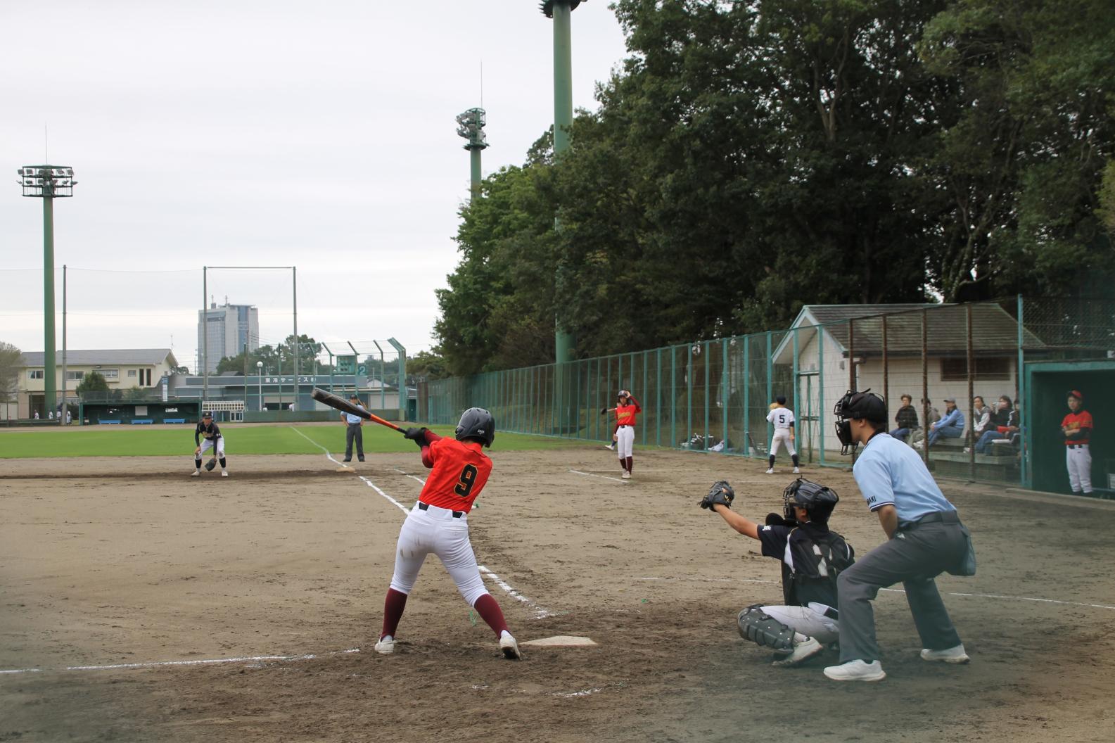 IMG_0902 IMG_0902