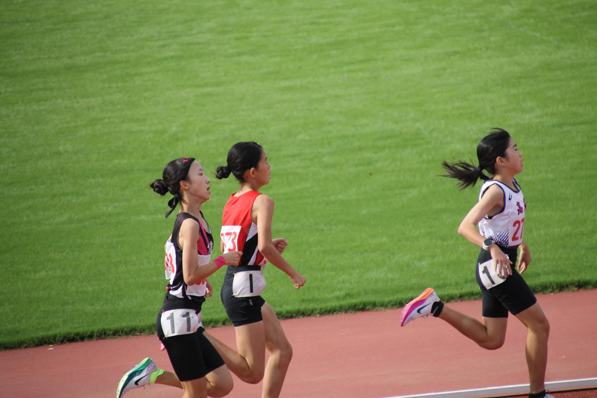 IMG_0980 IMG_0980