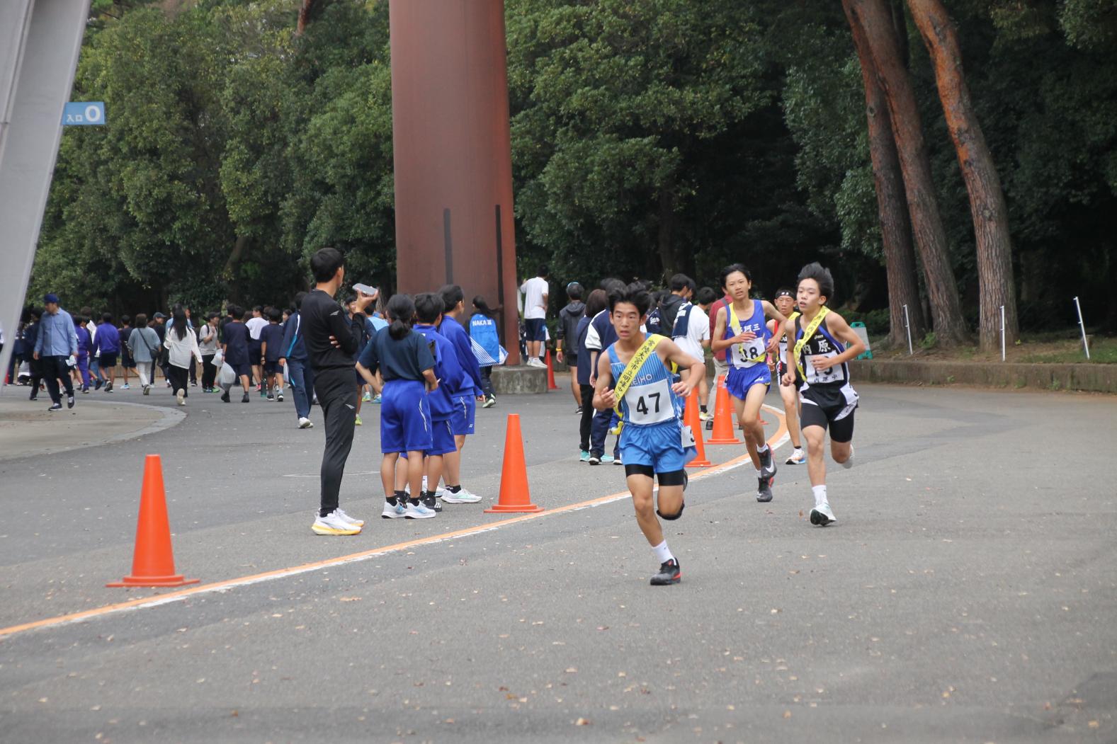 IMG_1105 IMG_1105