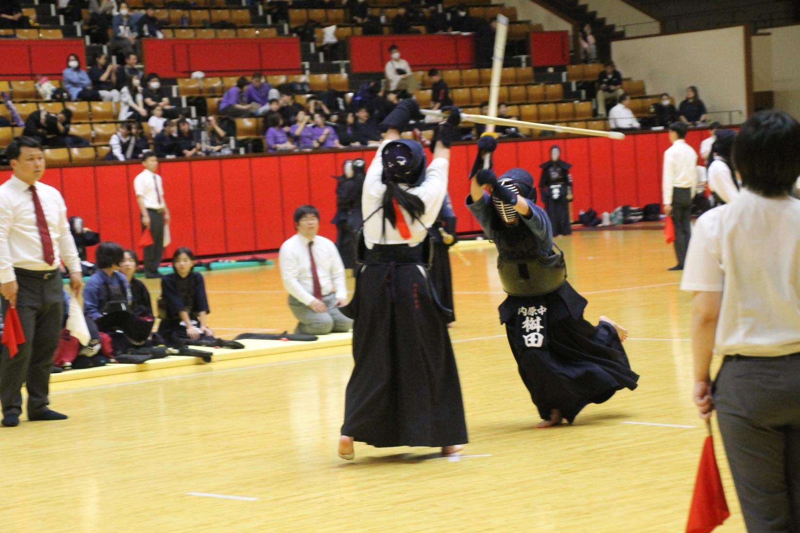 IMG_1197 IMG_1197