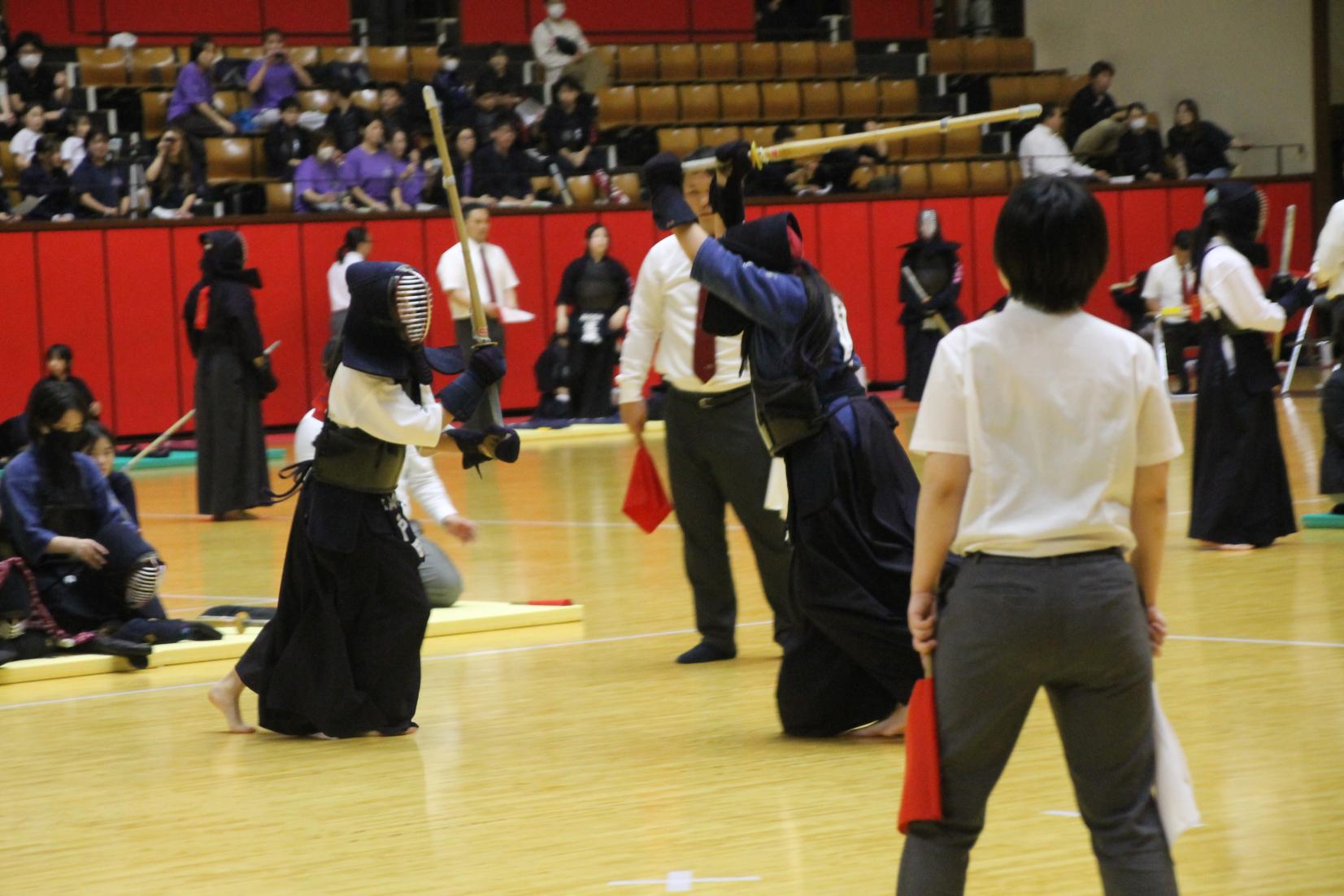 IMG_1200 IMG_1200