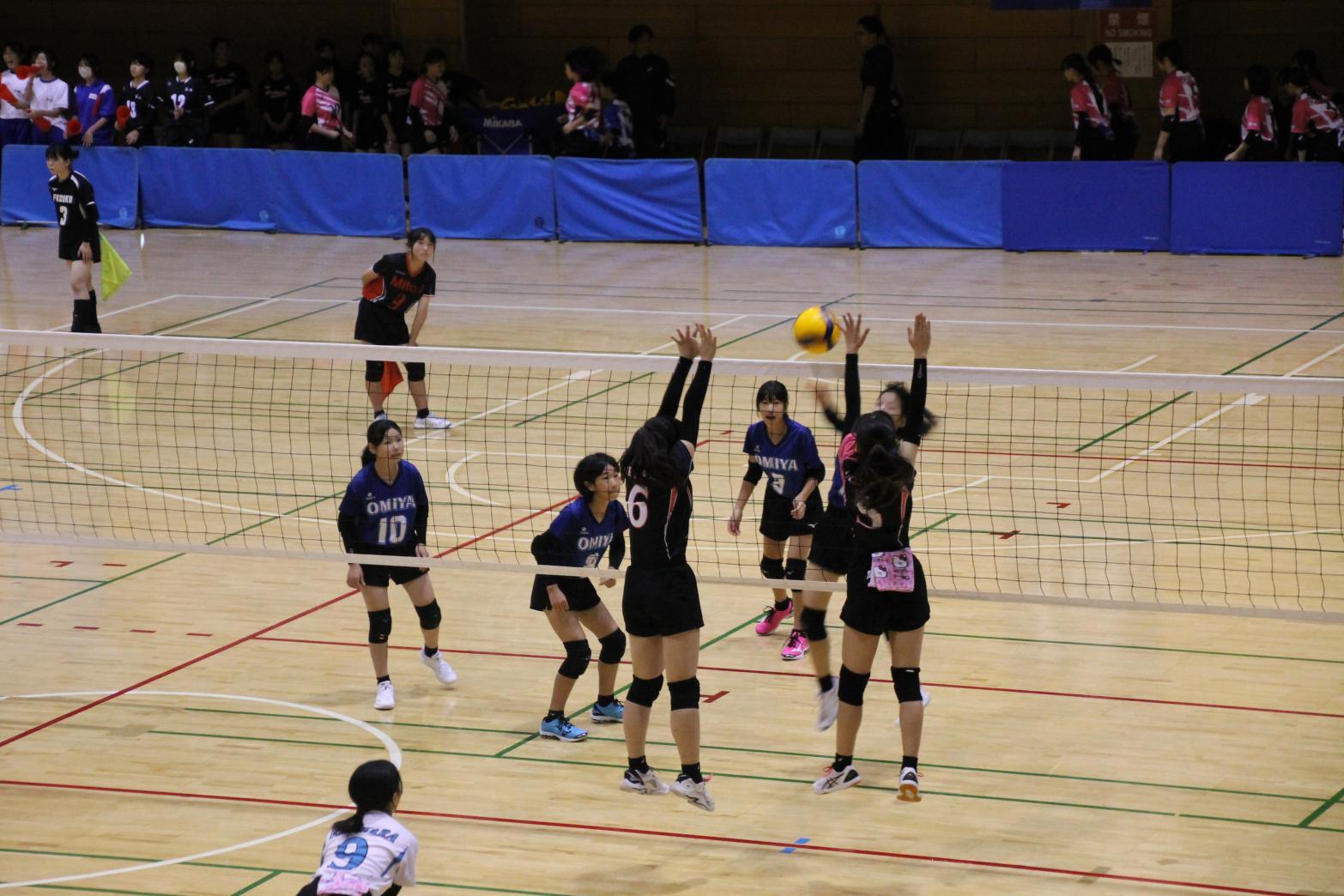 IMG_1229 IMG_1229