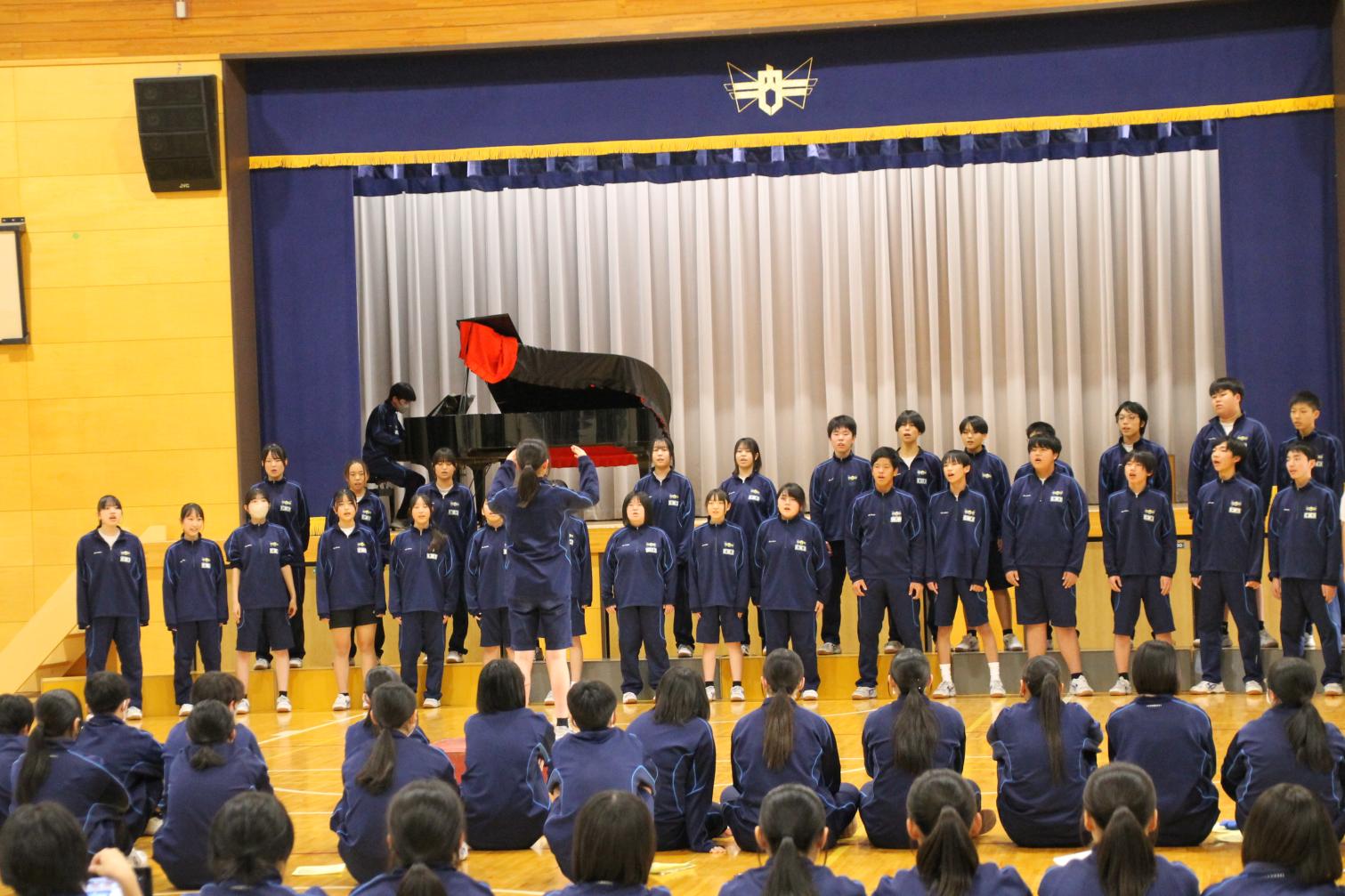 IMG_1243 IMG_1243