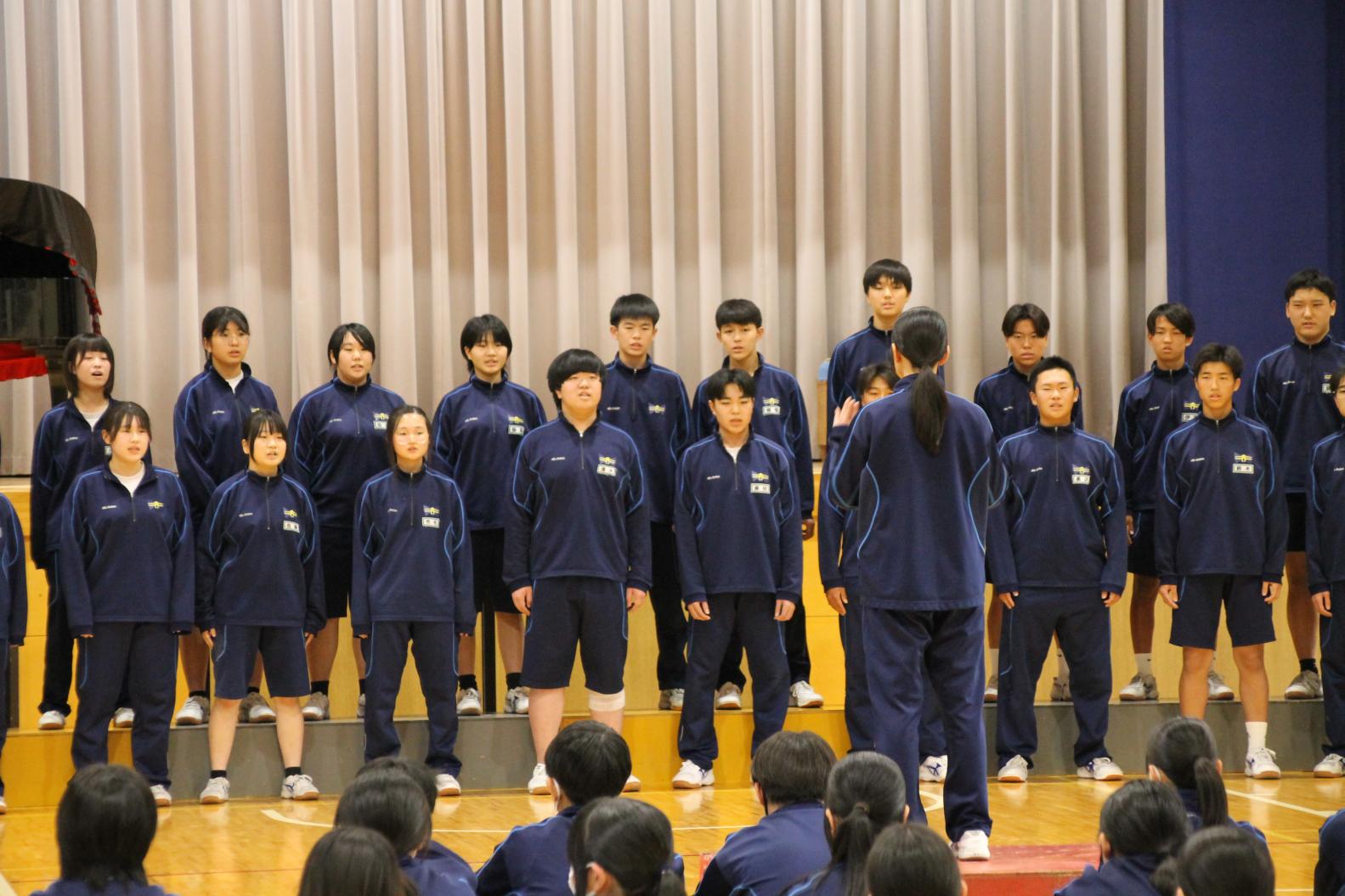 IMG_1246 IMG_1246